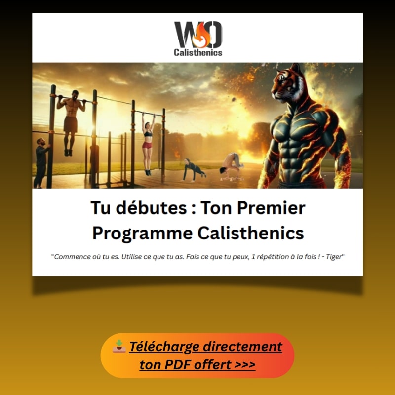 programme calisthenics pdf 2 | WO-Calisthenics Bannière 1er programme Calisthenics offert -- WO-Calisthenics